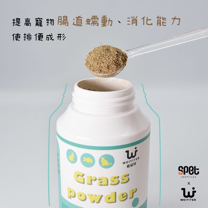 腸道蠕動.jpg