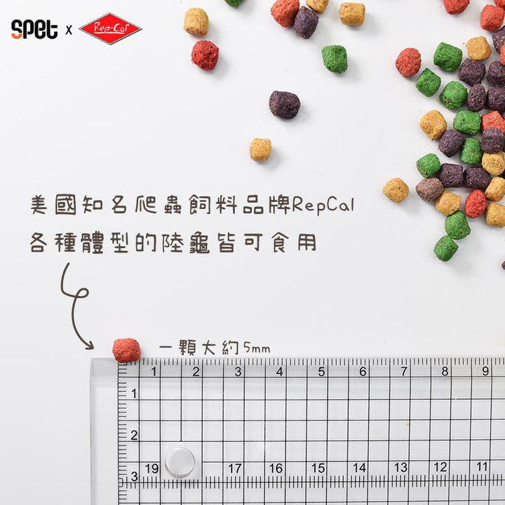 水果飼料(適合各種體型).jpg
