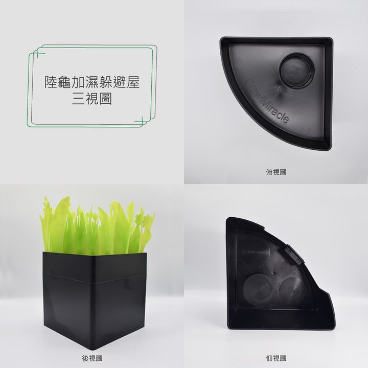 陸龜加濕躲避(三試圖).jpg