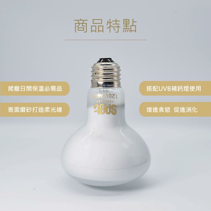 日燈(商品特點).jpg