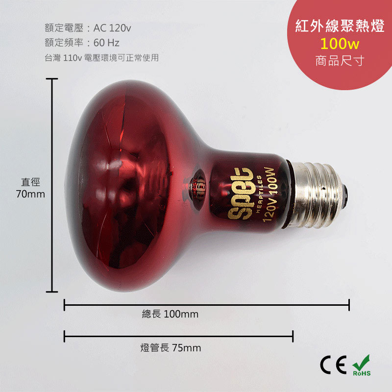 紅夜 紅外線聚熱夜燈– SPET思皮特寵物-全台最專業的兩棲爬蟲用品