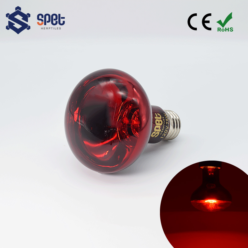 紅夜 紅外線聚熱夜燈– SPET思皮特寵物-全台最專業的兩棲爬蟲用品
