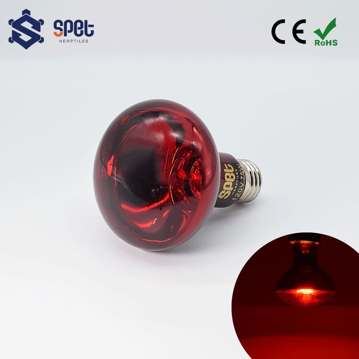 紅外線(官網首頁).jpg