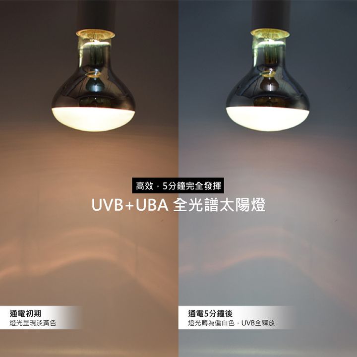 通電.jpg
