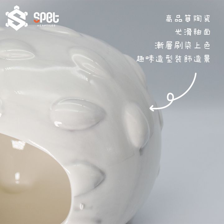 灰刺為細節.jpg