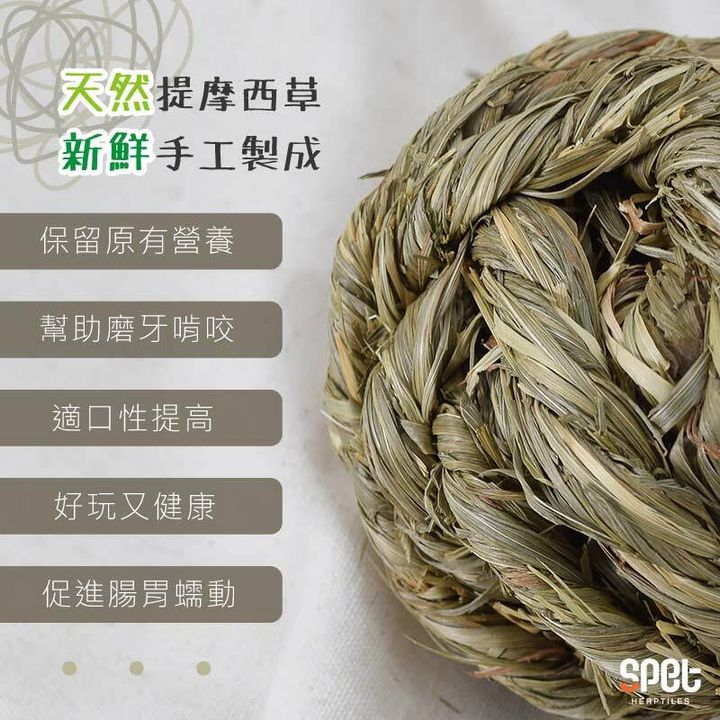 提摩西.jpg