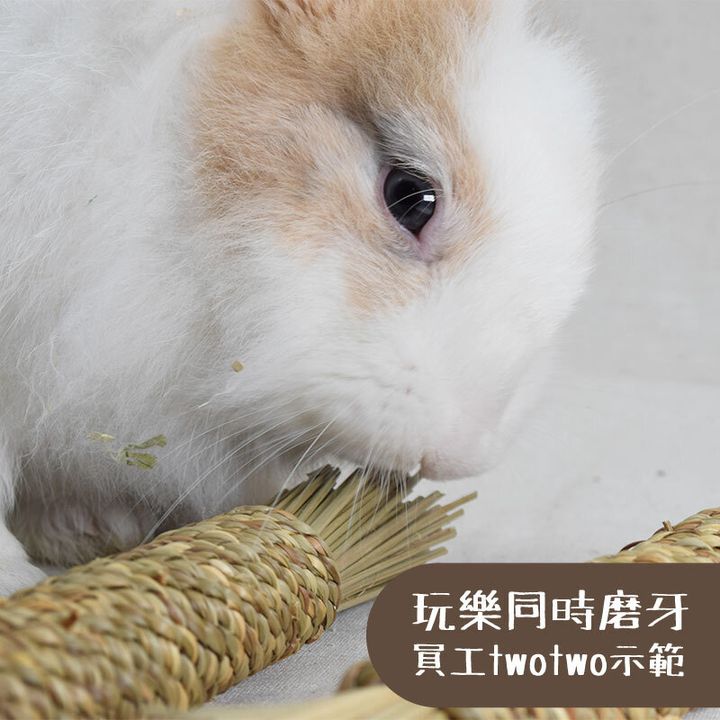 磨牙.jpg