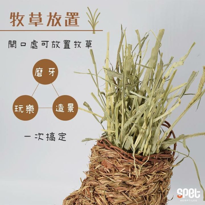 牧草.jpg