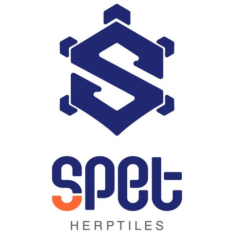 SPET logo源文件-6.18-13