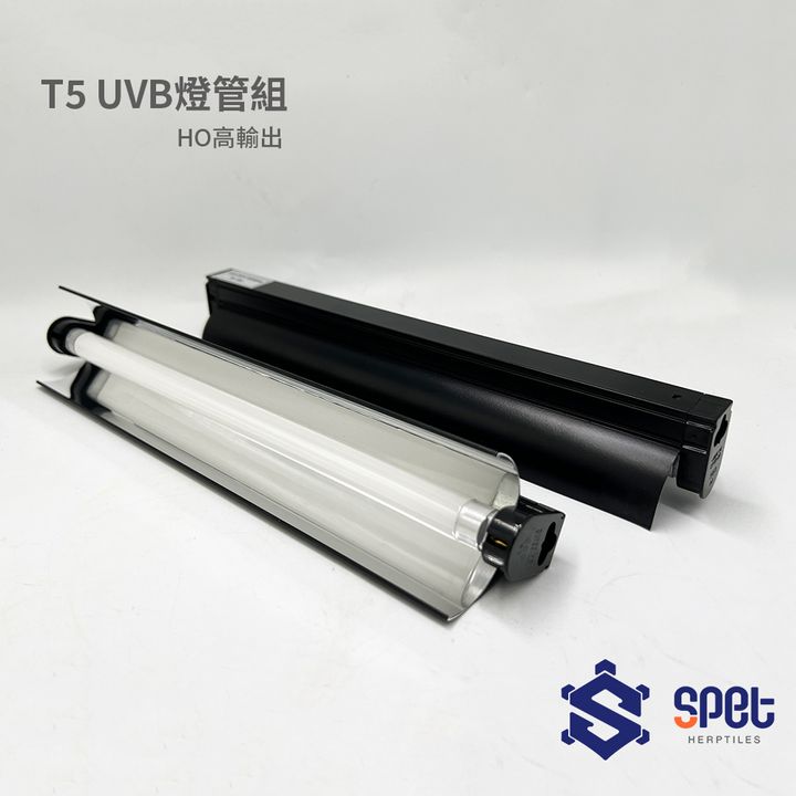 HO-T5燈管組