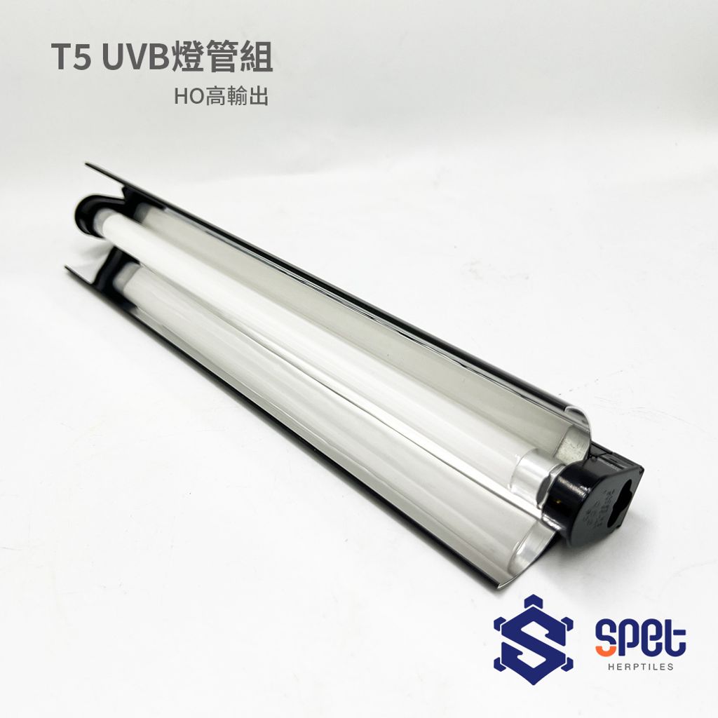 HO-T5單獨內理展示