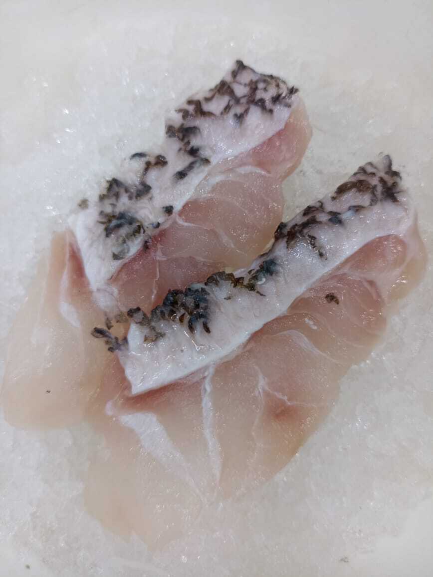 WhatsApp Image 2026-03-04 at 09.12.56