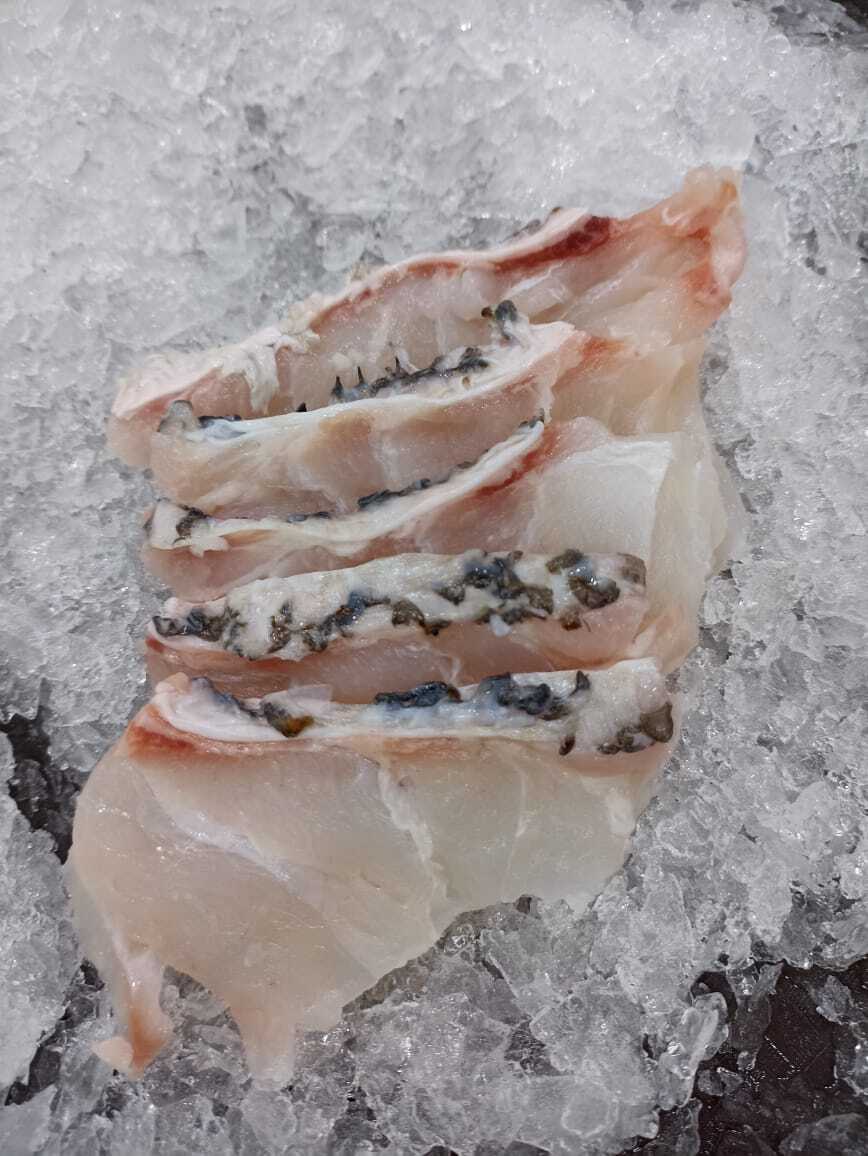 WhatsApp Image 2026-03-04 at 09.13.27