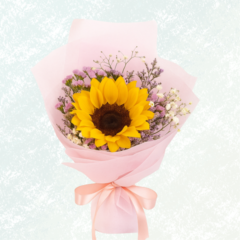 Instagram Highlights-3