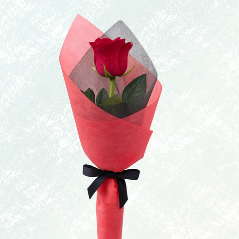 Instagram Highlights-4