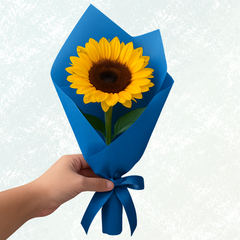 Instagram Highlights-5