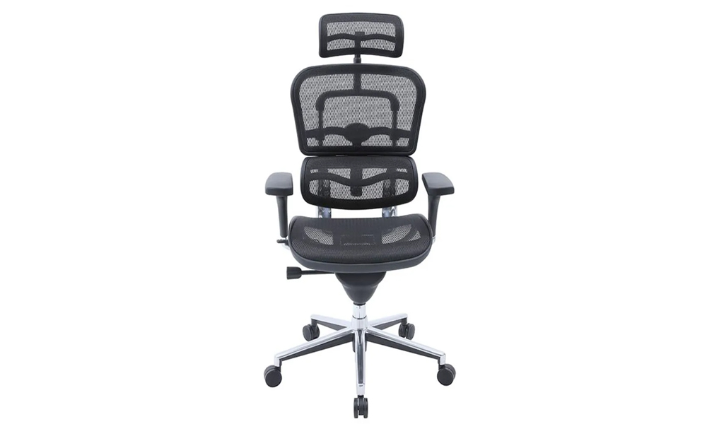 Ergonomic Chair - Support body