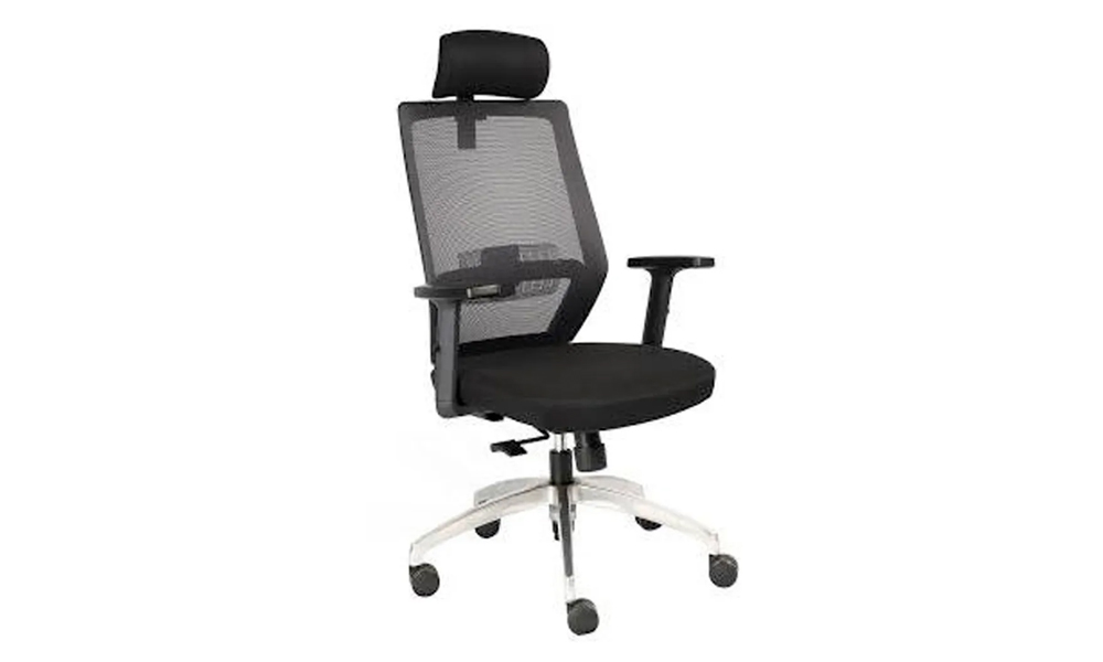 Ergonomic Chair for Backpain