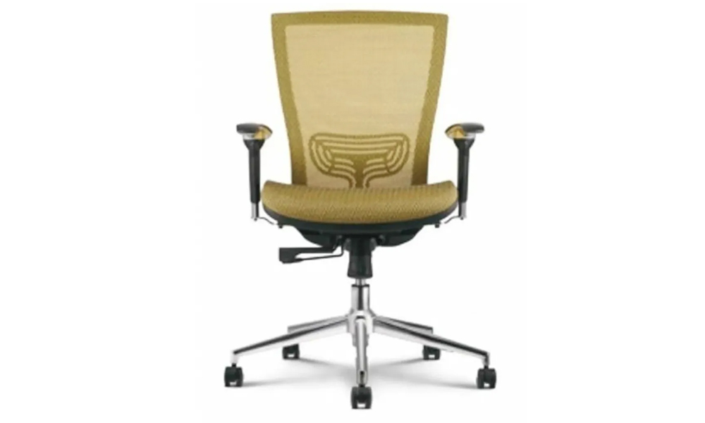 Ergonomic Chair for neck and shoulders support