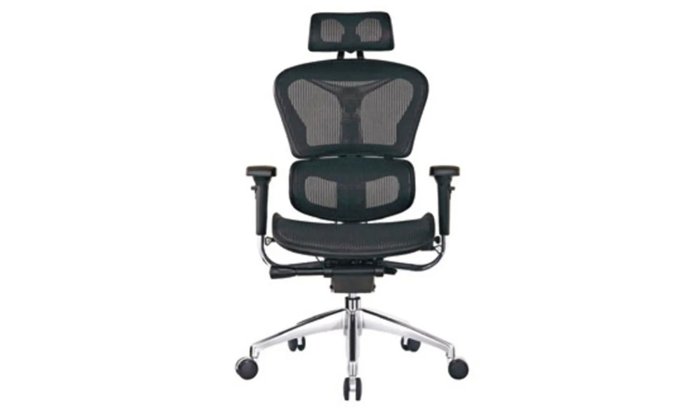 Ergonomic Chair - provides comfort