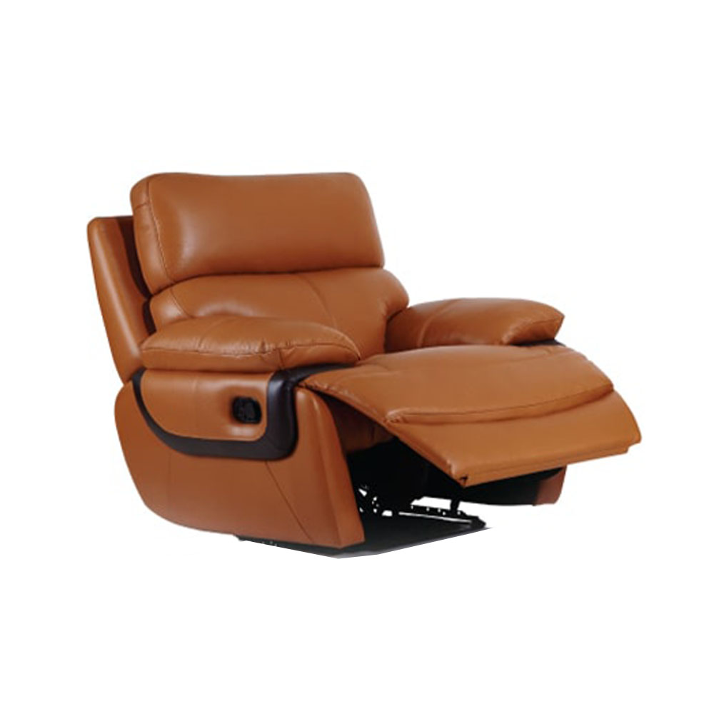 Recliner Sofa Future