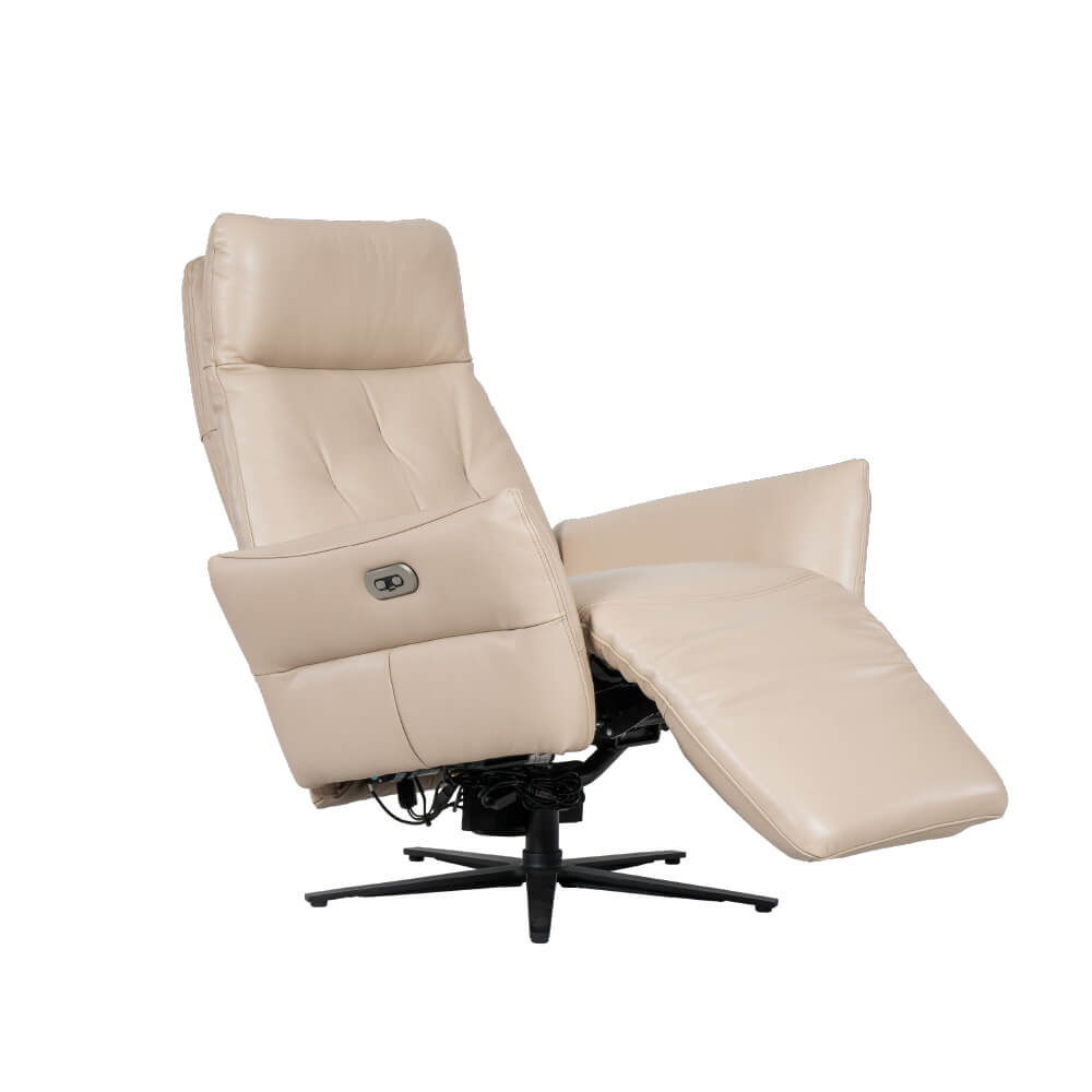 Recliner Sofa Rozel