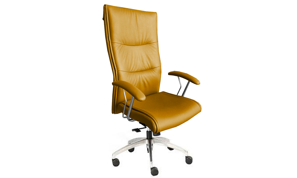 Tekkashop FSOC1314 Modern 3 Tilt Locking High Back Leather Cushion Boss Director Office Chair Chair