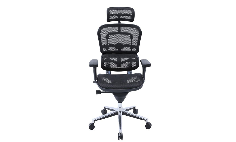 EVIS EVOCEGN High Back Fully Ergonomic Adjustable Ergo Novis ™ Mesh Home Office Chair (Black)