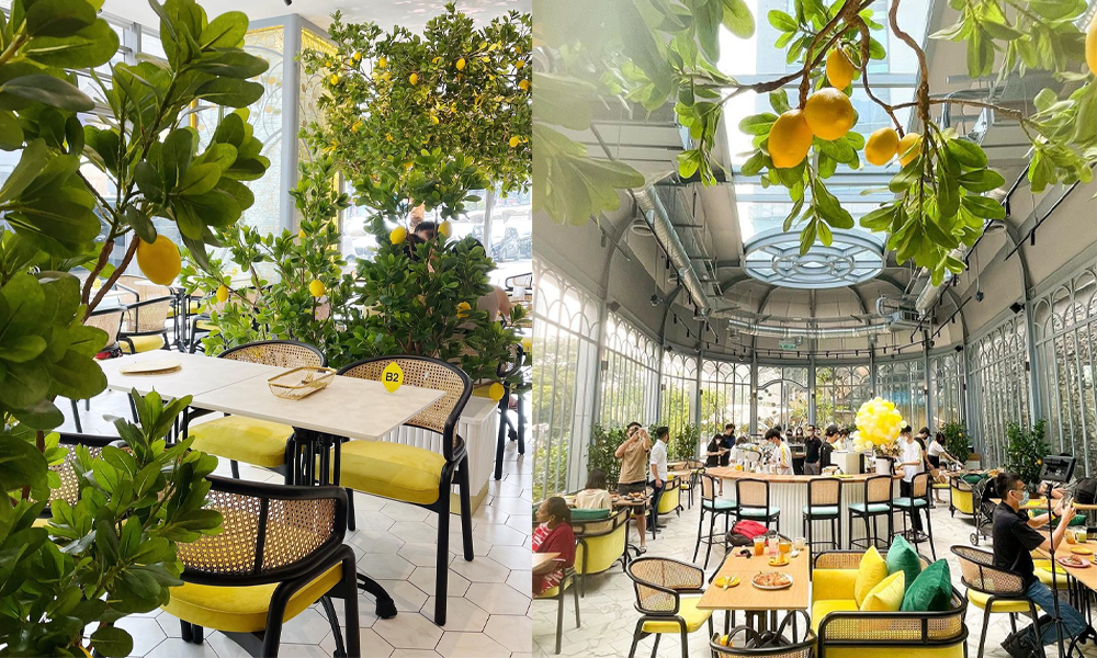 The Lemon Tree PJ - Best Insta-worthy Cafe to Visit in Malaysia 2022