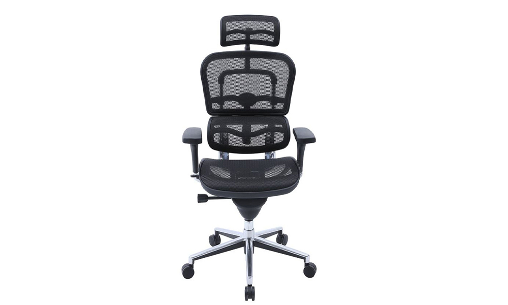 EVIS EVOCEGN High Back Fully Ergonomic Adjustable Ergo Novis ™ Mesh Home Office Chair in Black