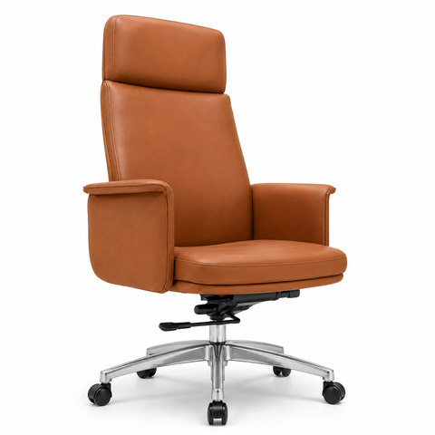 director chair3