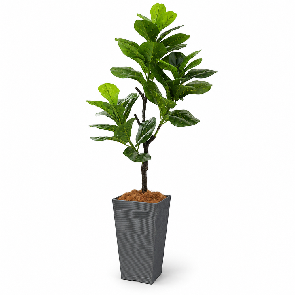 tree 1