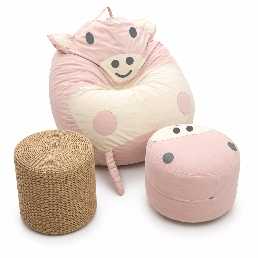 bean bag