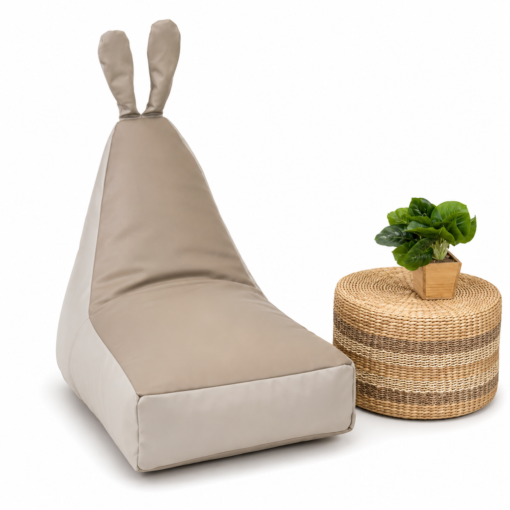 bean bag