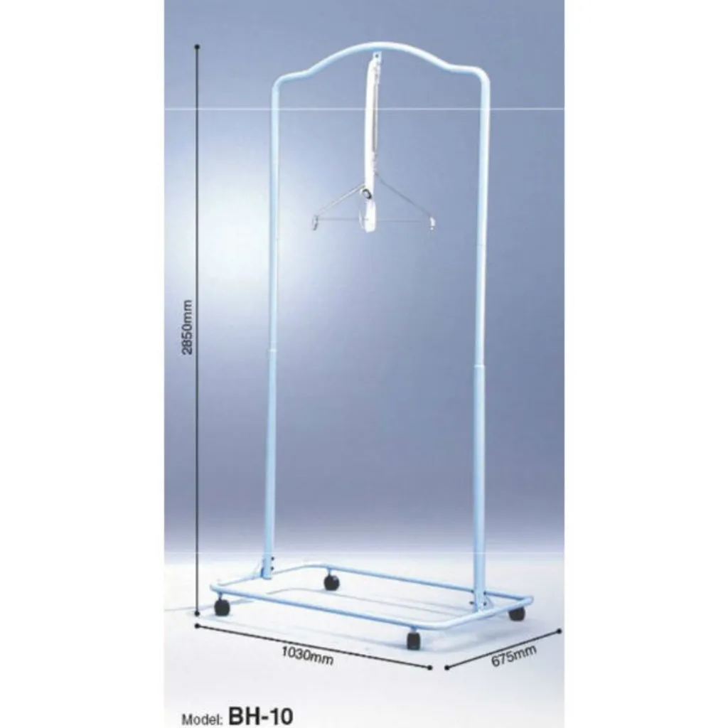 BH10-600x600