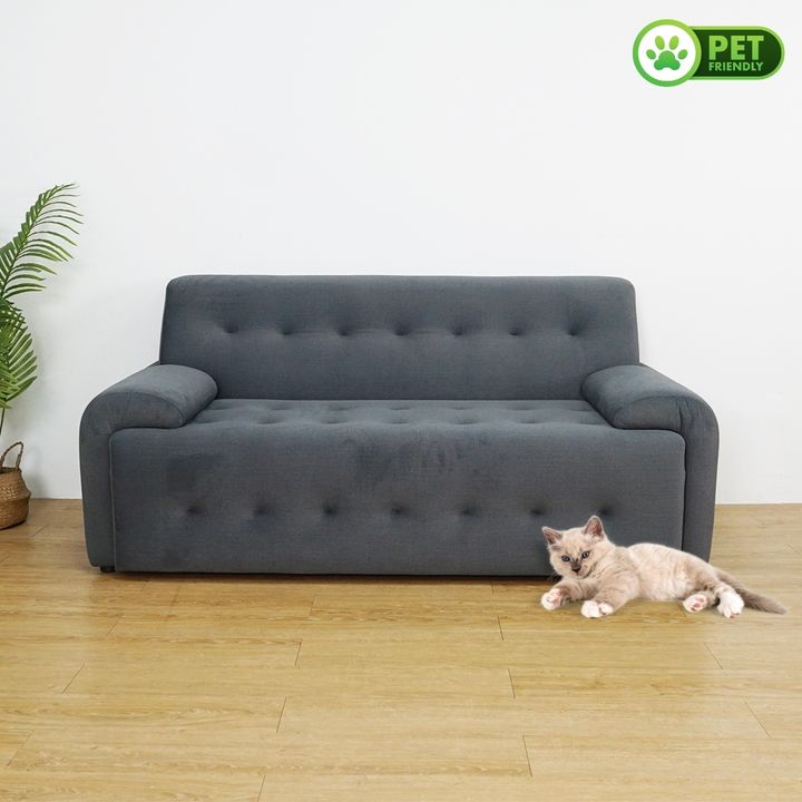 BORIS-2S-4