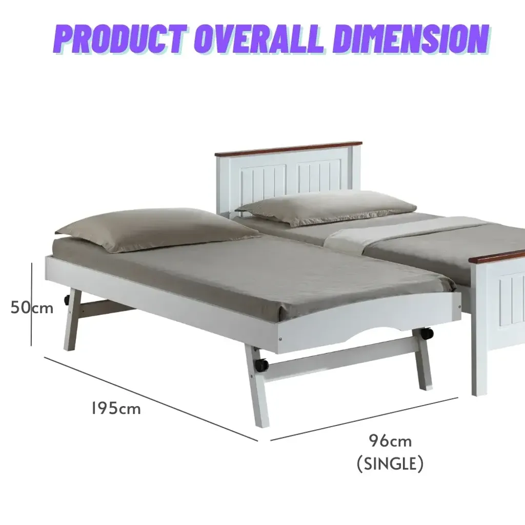 WS-096-EMDEM-1
