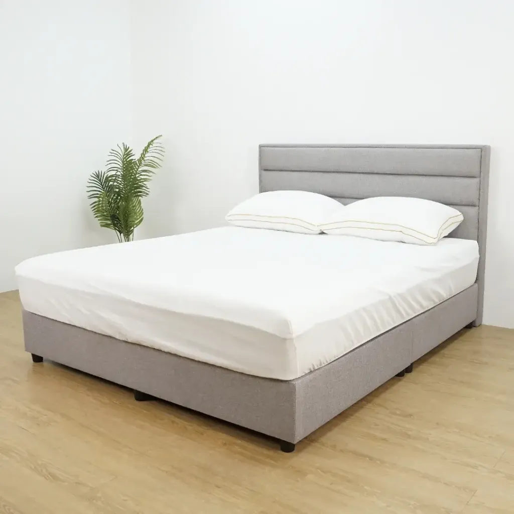 LINER-QUEEN-6 (1)