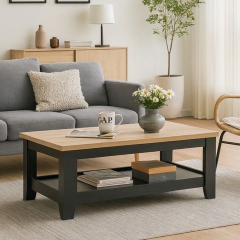 ANEESA-TABLE-2-1