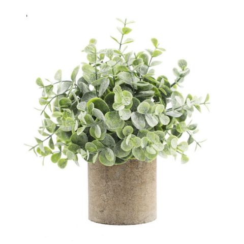 APLANT-2218-3