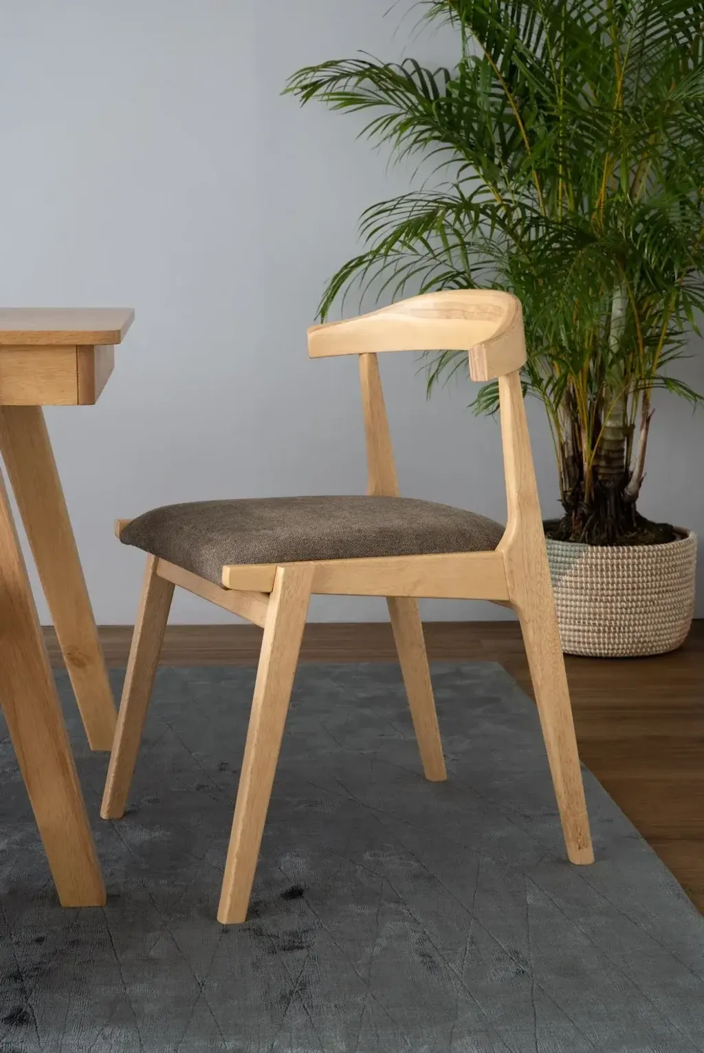 241530_s2-1500x1500-1