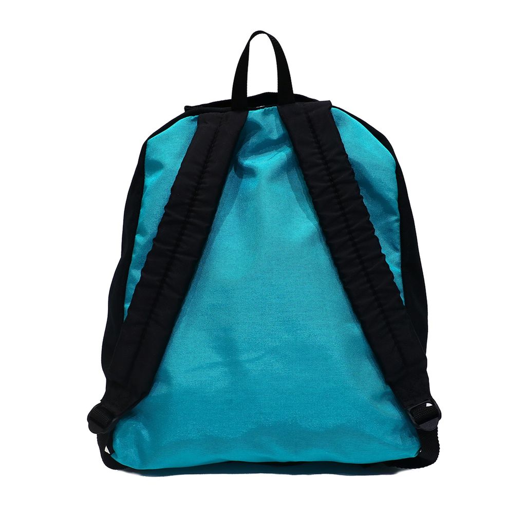 BAG8 Mix color Jansport backpack 1260 back.jpg