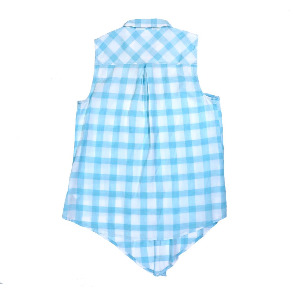 V40 Blue checkered vest 265 back.JPG