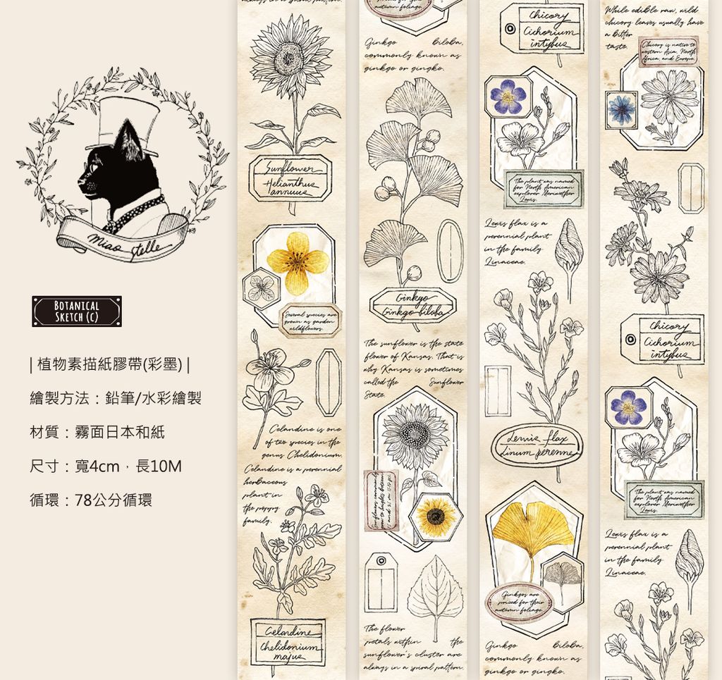 6月-植物素描紙膠帶-彩墨.jpg