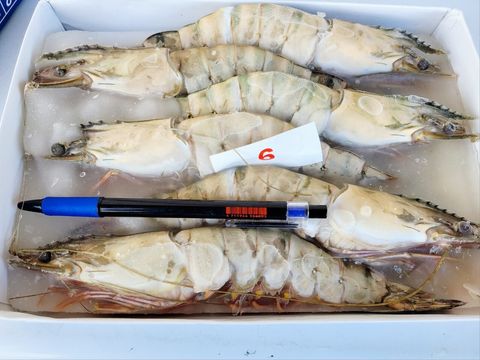 LINE_ALBUM_鵝肉王_241215_2