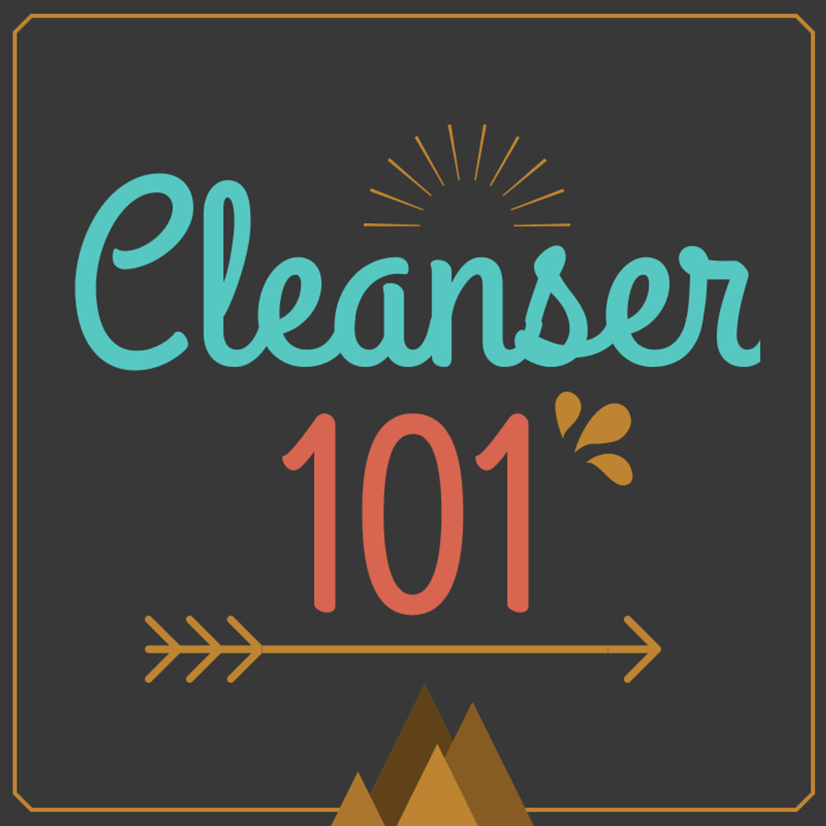 CLEANSER 101