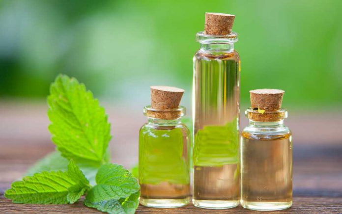 Different-Types-of-Mint-Essential-Oils-696x436.jpg