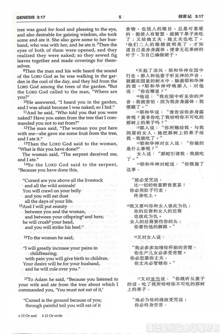 圣经和合本NIV-中英对照-6