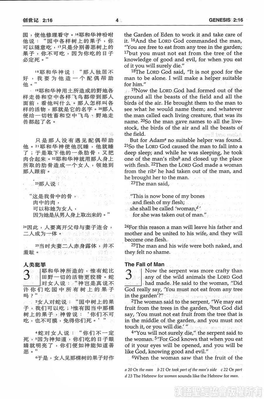 圣经和合本NIV-中英对照-5