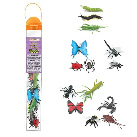 Insects 1.JPG